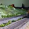 Image result for HO Scale Scenery