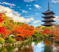 Image result for Japan Tourism Culture