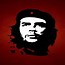 Image result for che