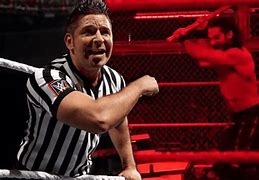 Image result for WWE Referees