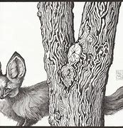 Image result for Camouflage Drawing