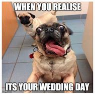 Image result for Wedding Dog Meme