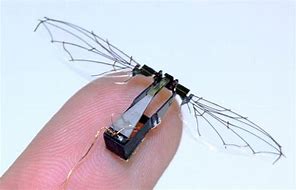 Image result for Robotic Insects