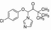 Image result for climbazole