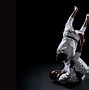 Image result for Gracie Brazilian Jiu-Jitsu