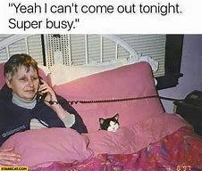 Image result for Black Cat Pizza Meme