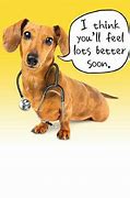 Image result for Feel Better Soon Funny