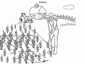 Image result for Farmer in Farm