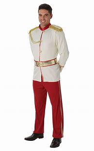 Image result for Prince Charming Costume