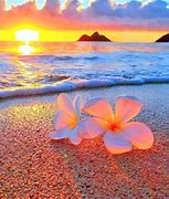 Image result for Cute Beachy Backround