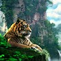 Image result for Drawing of Tiger Head