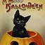 Image result for Vintage Cat Halloween Decor