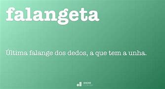 Image result for falangeta