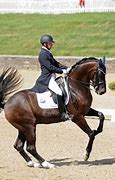 Image result for Dressage Rider Standing with Horse