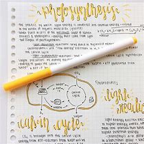 Image result for Notebook Writing Aesthetic