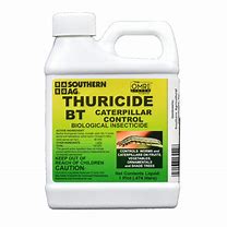 Image result for BT Insecticide