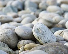 Image result for Beach Pebble Stones White