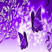 Image result for Cute Butterfly Wallpapers
