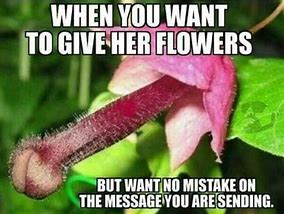 Image result for Funny Flower Memes