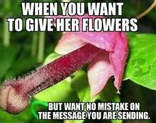 Image result for Sad Meme Flower