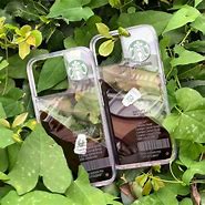 Image result for Starbucks Phone Case 13