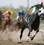 Image result for Race Horse Pictures