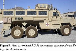 Image result for RG 31 A1