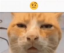 Image result for Huh Cat Drawing Meme