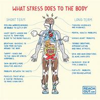 Image result for Stress Brain Body