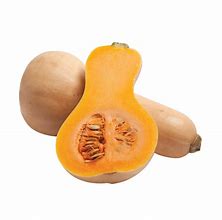 Image result for Squash Something