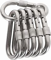Image result for Stainless Carabiner Clips