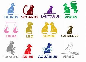 Image result for Zodiac Sign Dog Chart