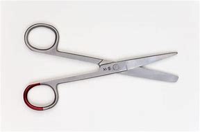 Image result for Sharp/Blunt Surgical Scissor