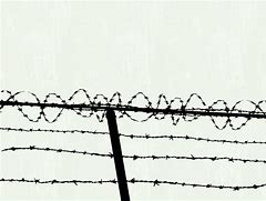 Image result for Barbed Wire Fence Drawing
