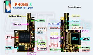 Image result for iPhone XR Board Diagram