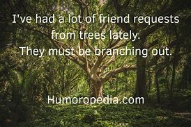 Image result for Jokes About Trees