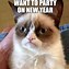 Image result for New Year's Eve Cat Meme