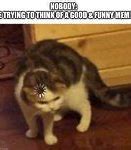 Image result for Thinking Cat Meme Generator