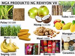 Image result for Region 7 an DITS Local Products
