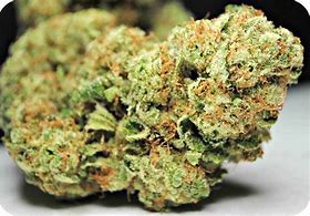 Image result for God Bud Strain