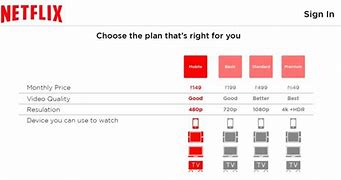 Image result for Netflix Monthly Subscription