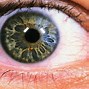 Image result for Eye Iris Pupil