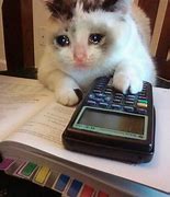 Image result for Cat Crying Meme Money