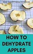 Image result for Oyster Oven Brand Dehydrated Apples