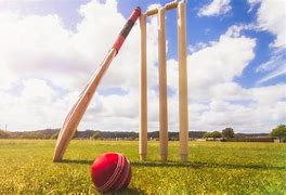 Image result for Soccer and Cricket