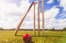 Image result for Cricket Bat Ball