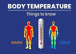 Image result for What Is Normal Body Temp