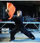 Image result for Kung Fu Fix