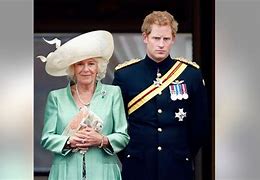 Image result for Prince Harry 17 Chelsy Davy