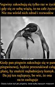 Image result for co_oznacza_zakochany_pingwin